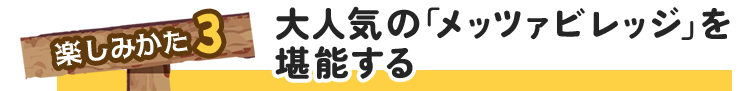 楽しみ方3大人気のメッツァビレッジを堪能する
