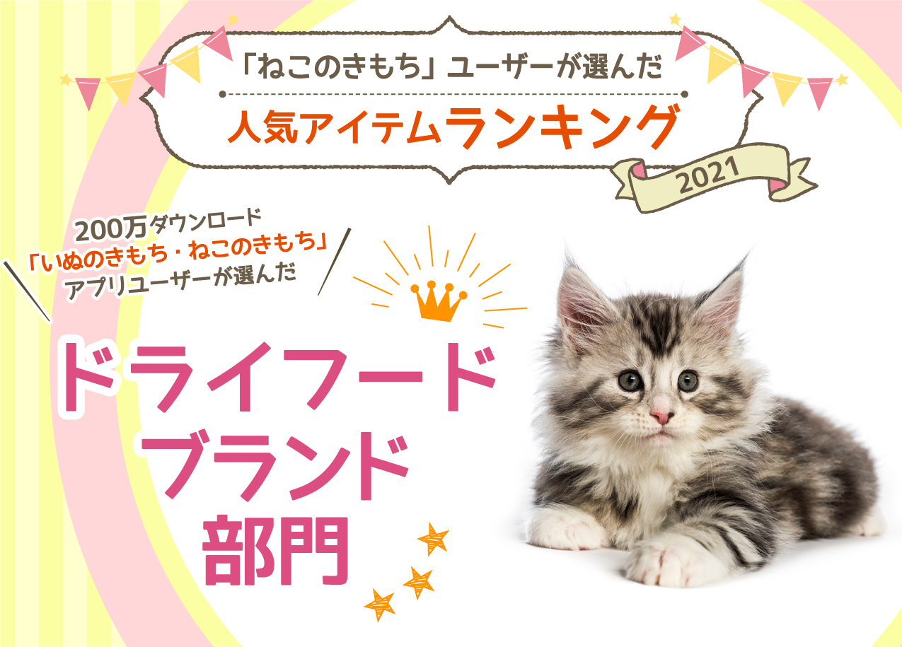 ランキングでわかる おすすめキャットフードの評価 評判の真実 獣医師監修