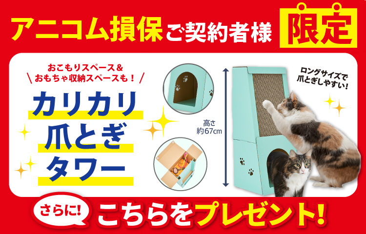 特典・ふろくのご紹介| 愛猫の健康・育て方がわかる雑誌「ねこのきもち