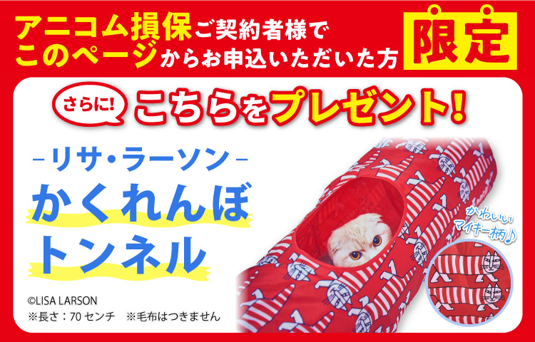 特典・ふろくのご紹介| 愛猫の健康・育て方がわかる雑誌「ねこのきもち