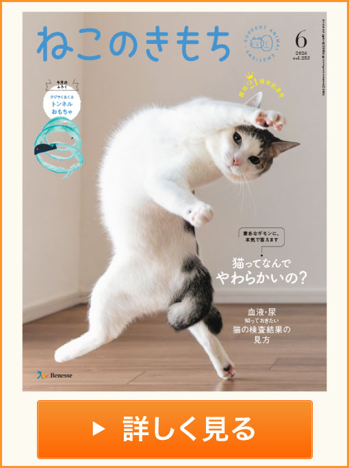 ねこのきもち　詳しく見る