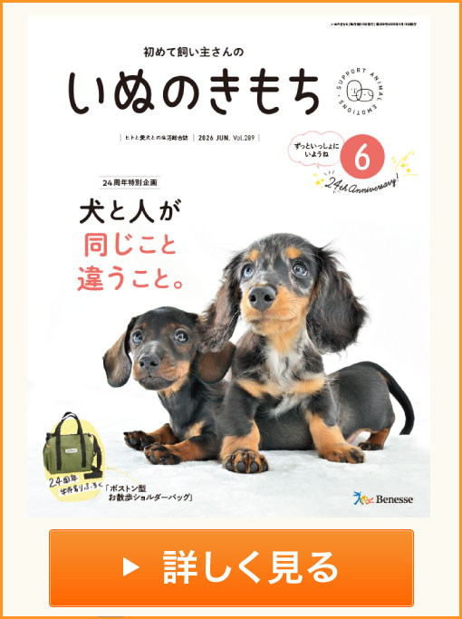 いぬのきもち　詳しく見る