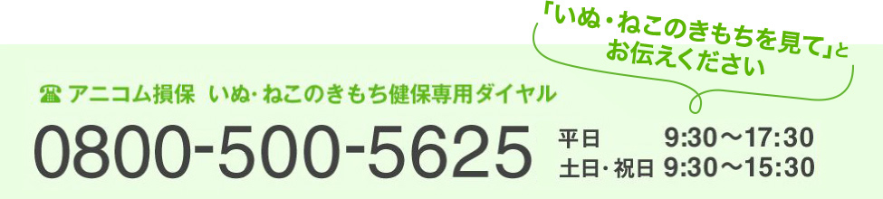 アニコム損保いぬ・ねこのきもち健保専用ダイヤル