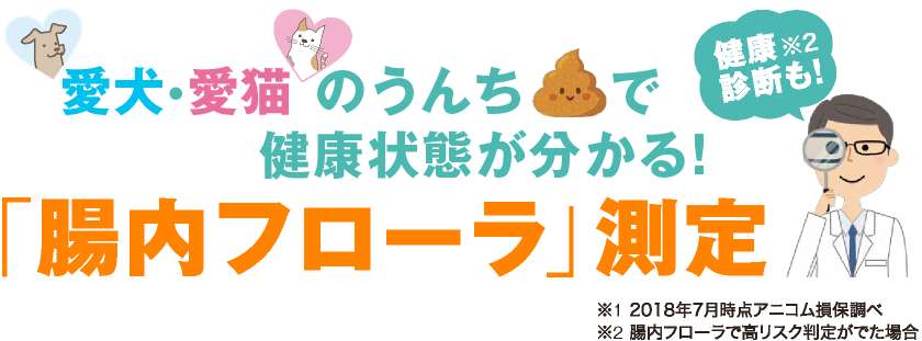 愛犬・愛猫のうんちで分かる!「腸内フローラ」測定ができます!