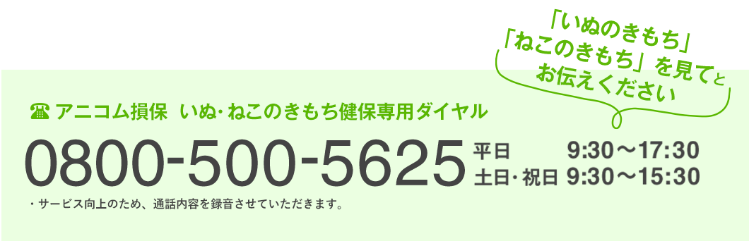 アニコム損保いぬ・ねこのきもち健保専用ダイヤル