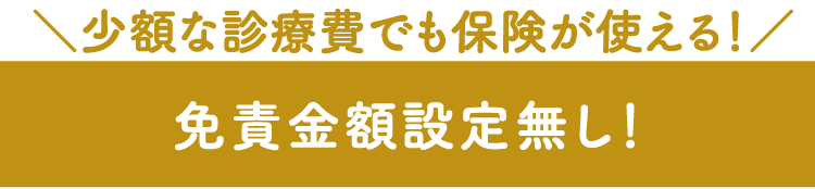 少額な診療費でも保険が使える！免責金額設定無し！