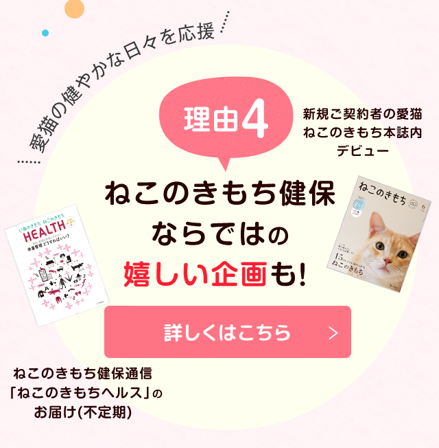 ねこのきもち健保 愛猫のためのペット保険 いぬのきもちweb ねこのきもちweb