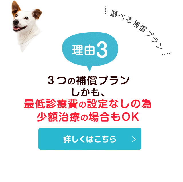 いぬのきもち健保 愛犬のためのペット保険 いぬのきもちweb ねこのきもちweb