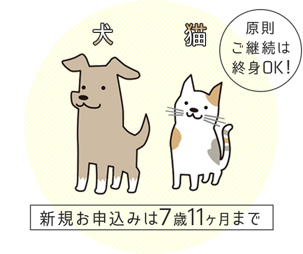 犬の保険ならいぬのきもち保険 いぬのきもちweb ねこのきもちweb