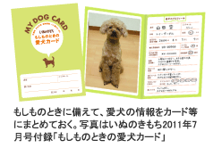 もしものときに備えて、愛犬の情報をカード等にまとめておく。写真はいぬのきもち2011年７月号付録「もしものときの愛犬カード」