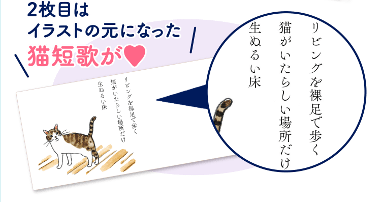 特典 ふろくのご紹介 愛猫の健康 育て方がわかる雑誌 ねこのきもち いぬのきもちweb ねこのきもちweb