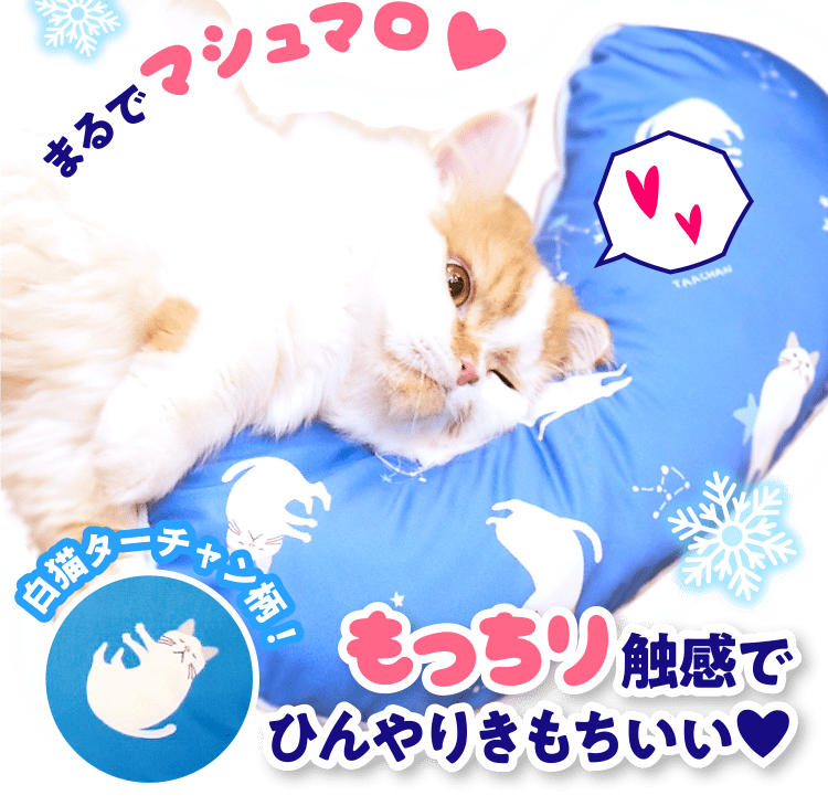 特典 ふろくのご紹介 愛猫の健康 育て方がわかる雑誌 ねこのきもち いぬのきもちweb ねこのきもちweb