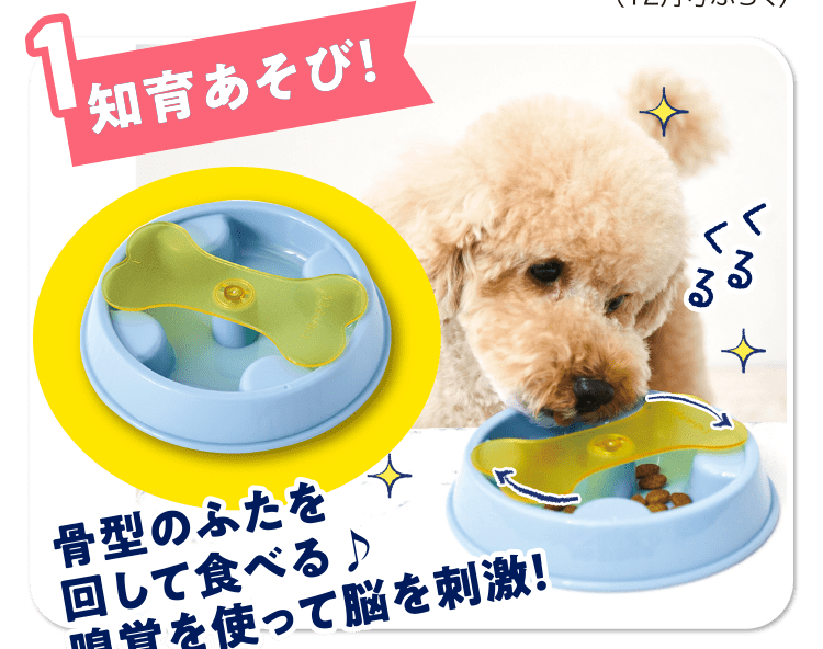 特典 ふろくのご紹介 愛犬の健康 育て方がわかる雑誌 いぬのきもち いぬのきもちweb ねこのきもちweb