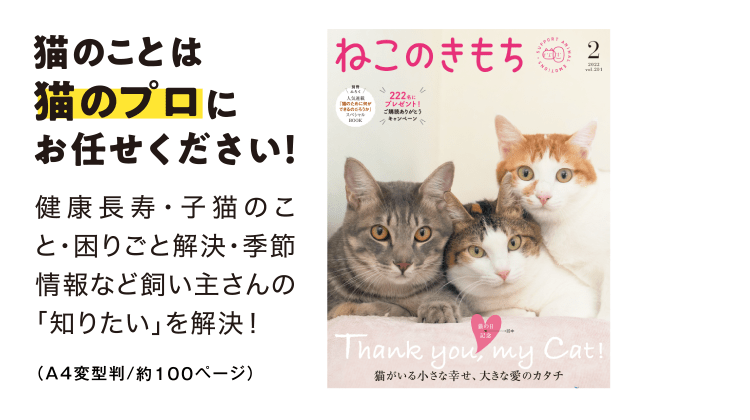 偉大な ねこのきもち 本誌31冊 付録8点 猫用品 Carrozzeriacomi It