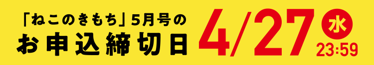 「ねこのきもち」5月号のお申込締切日3/31（木）23:59