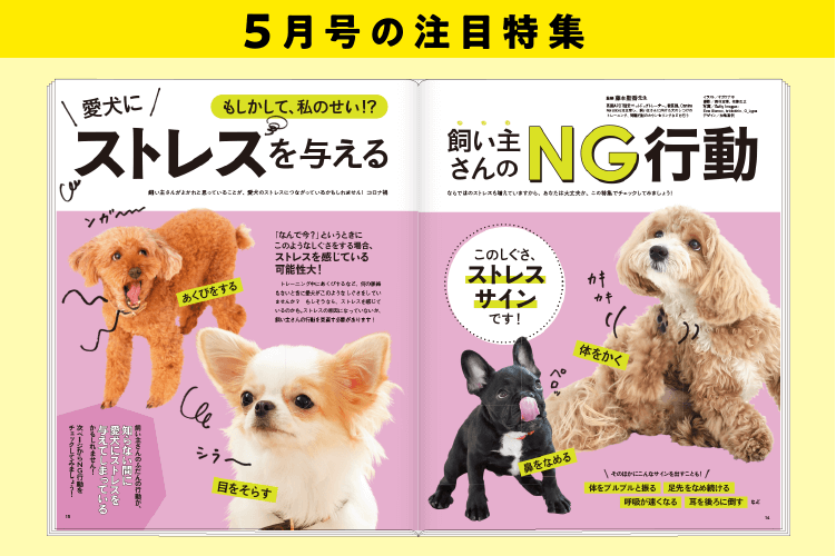 5月号の注目特集