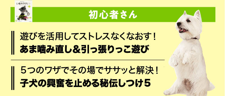 いぬのきもち 初心者さん