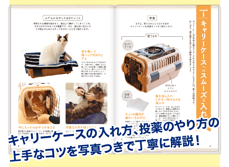 キャリーケースの入れ方、投薬のやり方の上手なコツを写真つきで丁寧に解説!
