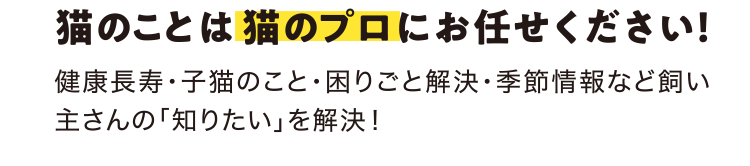 猫のことは猫のプロにお任せください!