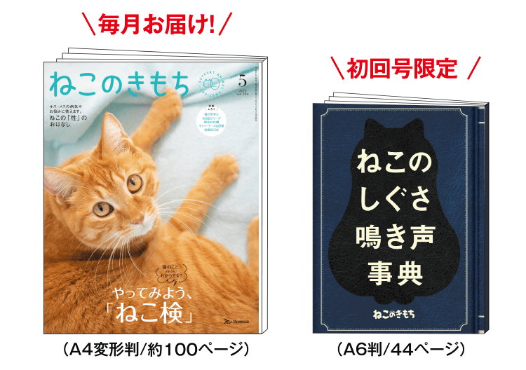 毎月お届け！5月号雑誌 [A4判／約100ページ]