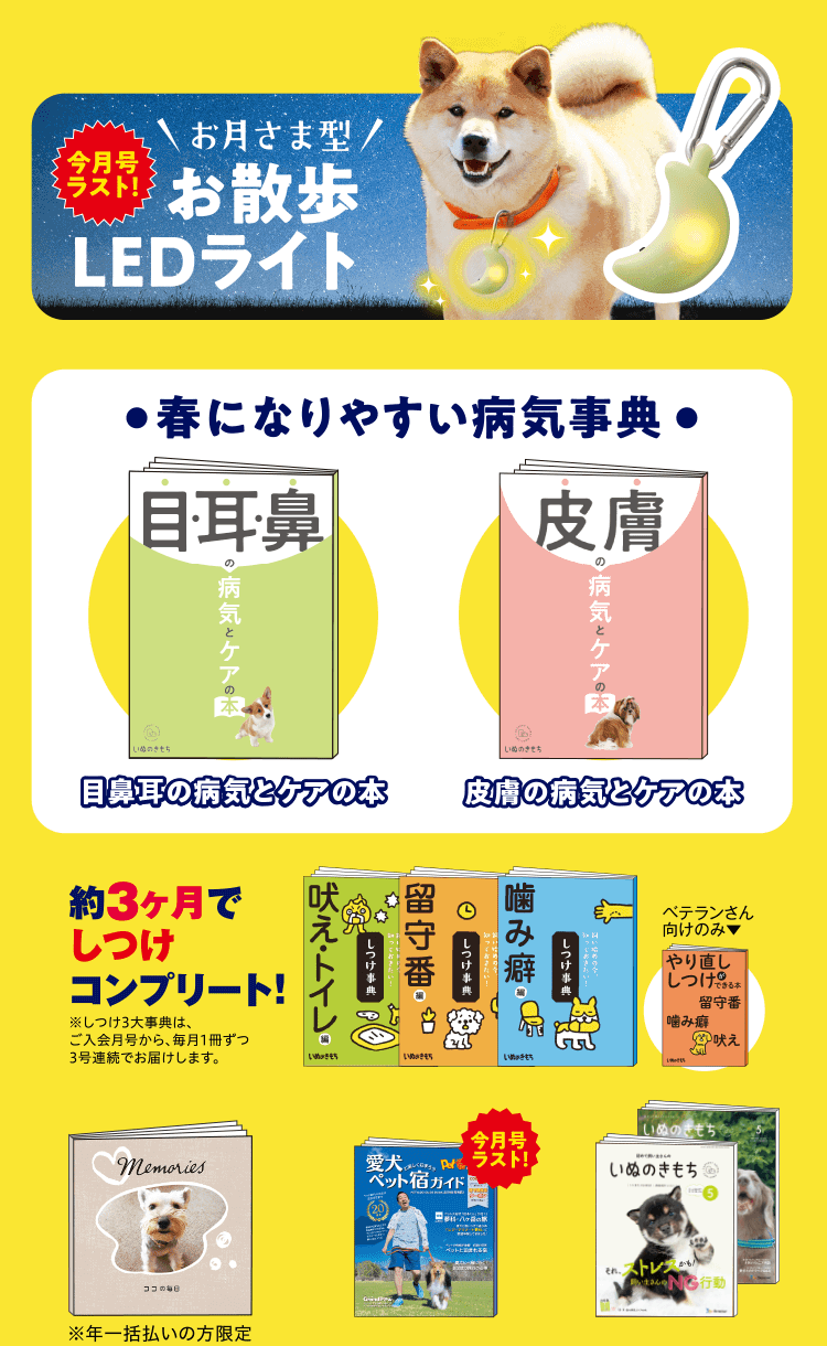 超豪華10点セット　※初心者さん向けは9点セットとなります。