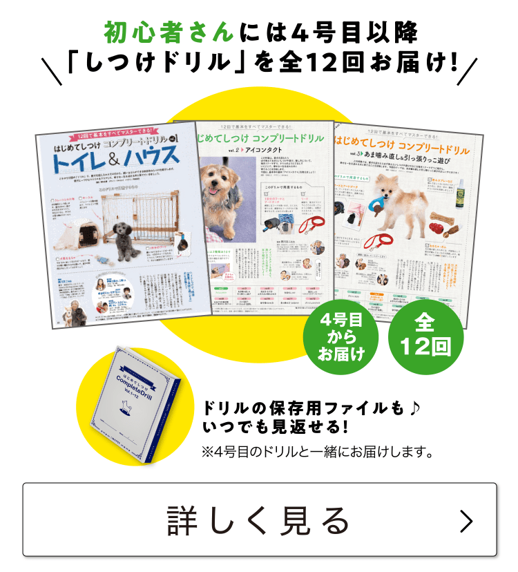 初心者さん≪しつけコンプリートドリル≫