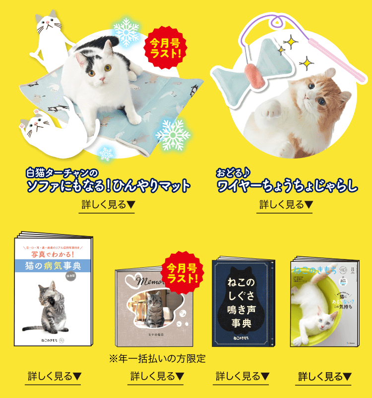 中古 ふんわりねこマット ねこのきもち付録 猫用品