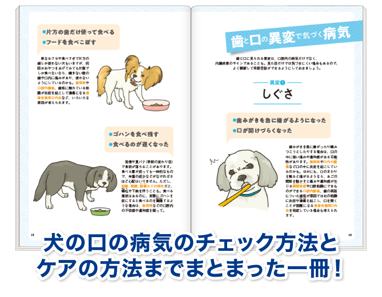 犬の口の病気のチェック方法とケアの方法までまとまった一冊！