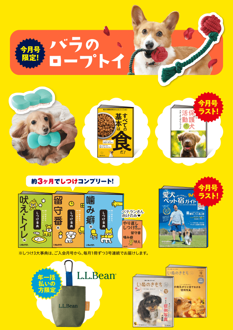 いぬのきもち 付録 しつけ辞典 ７冊 犬 雑誌 【セール】 本・音楽