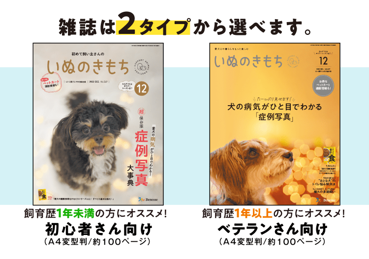 特典 ふろくのご紹介 愛犬の健康 育て方がわかる雑誌 いぬのきもち いぬのきもちweb ねこのきもちweb 特典 ふろくのご紹介 愛犬の健康 育て方がわかる雑誌 いぬのきもち いぬのきもちweb ねこのきもちweb
