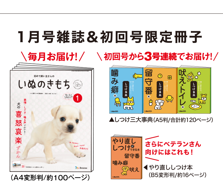 特別価格 いぬのきもち7月号 雑誌 付録 agapeeurope.org