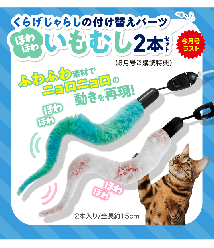 特典・ふろくのご紹介| 愛猫の健康・育て方がわかる雑誌「ねこのきもち