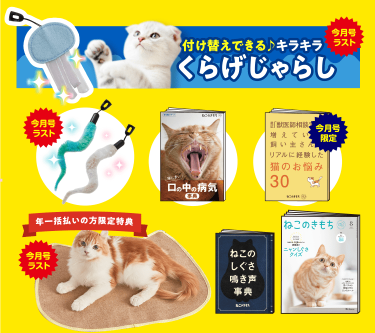 特典・ふろくのご紹介| 愛猫の健康・育て方がわかる雑誌「ねこのきもち