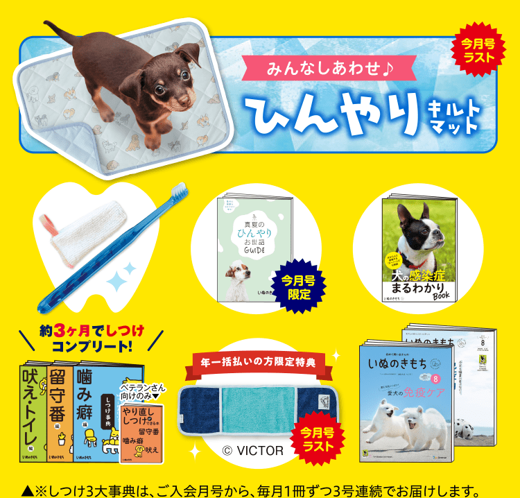 いぬのきもち 別冊付録 - 犬用品