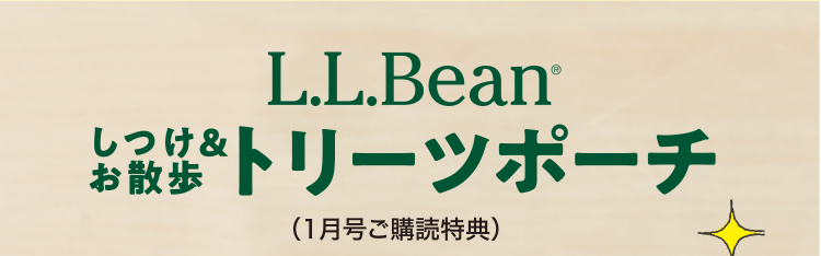 L.L.Bean®しつけ＆お散歩トリーツポーチ