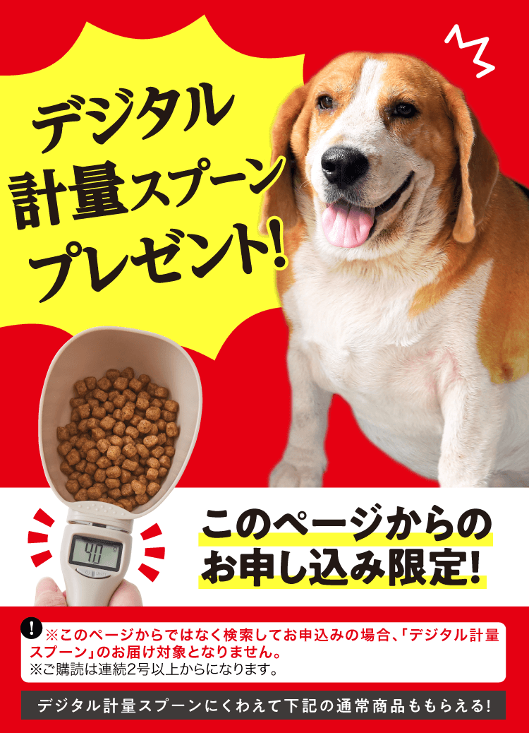 特典・ふろくのご紹介 愛犬の健康・育て方がわかる雑誌「いぬのきもち」 いぬのきもちweb・ねこのきもちweb