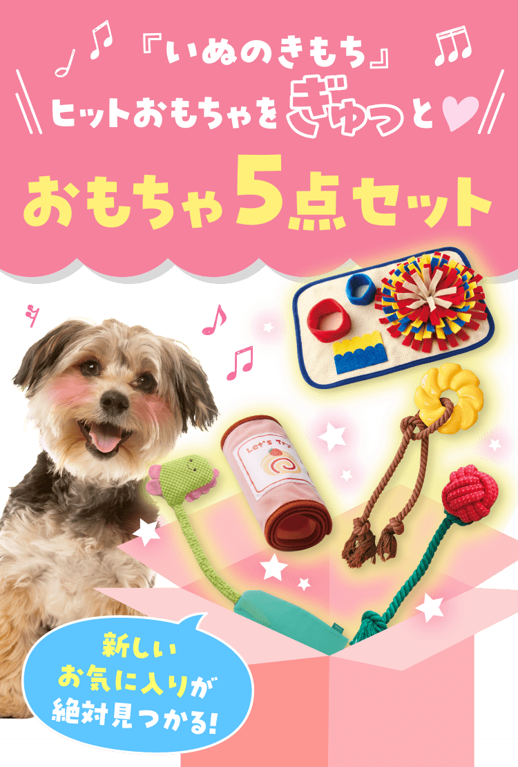 いぬのきもち大ヒット！おもちゃ5点セット