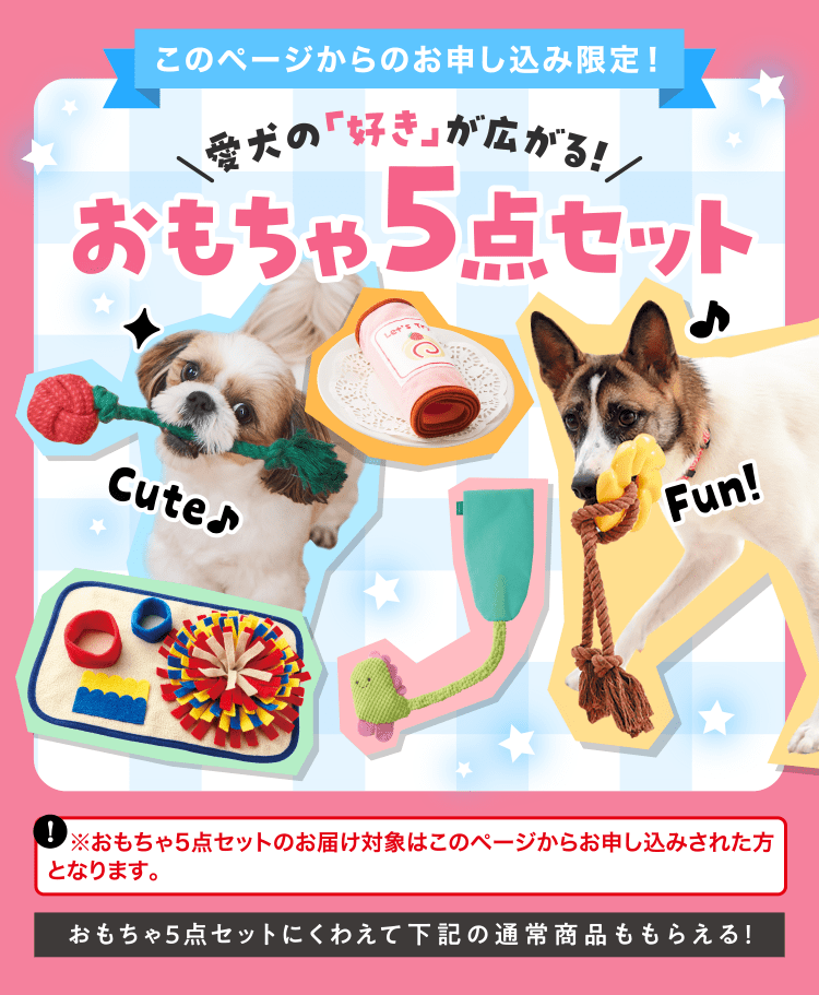 このページからのお申し込み限定！ ≪おもちゃ5点セット≫プレゼント！