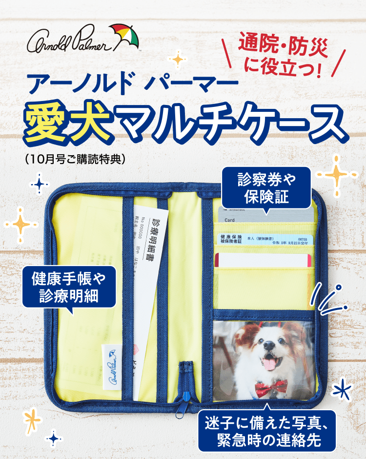 通院・防災に役立つ！ ≪アーノルドパーマー愛犬マルチケース≫