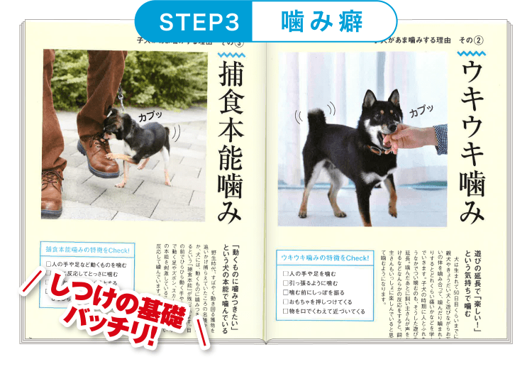 STEP3 ≪噛み癖≫