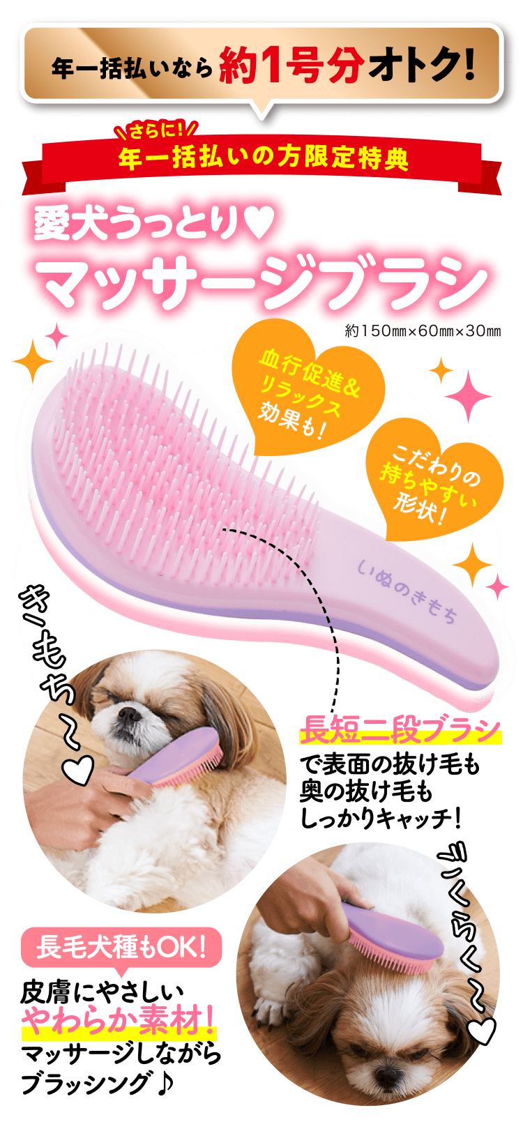 年一括払いの方限定 ≪愛犬うっとり♥マッサージブラシ≫