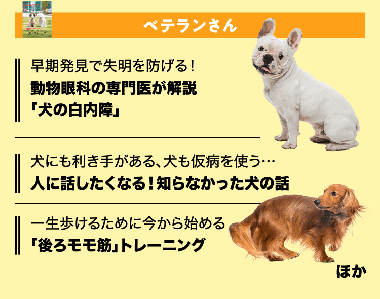 いぬのきもち　ベテランさん