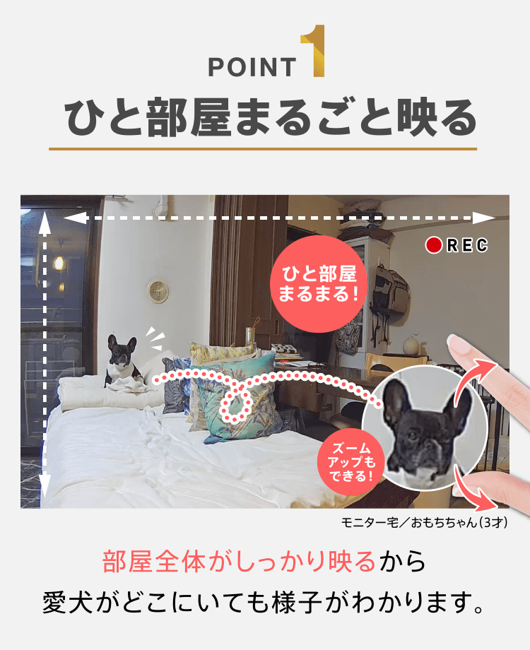 POINT1　ひと部屋まるごと映る