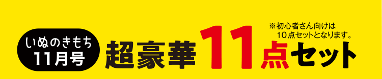 いぬのきもち11月号　超豪華11点セット　※初心者さん向けは10点セットとなります。