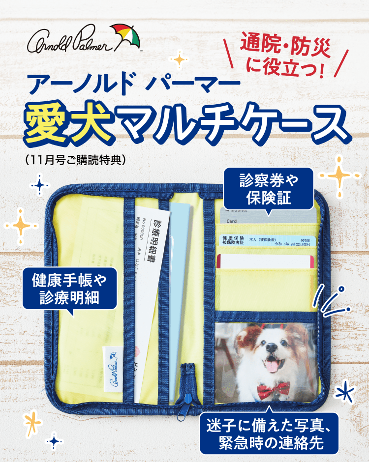 通院・防災に役立つ！ ≪アーノルドパーマー愛犬マルチケース≫