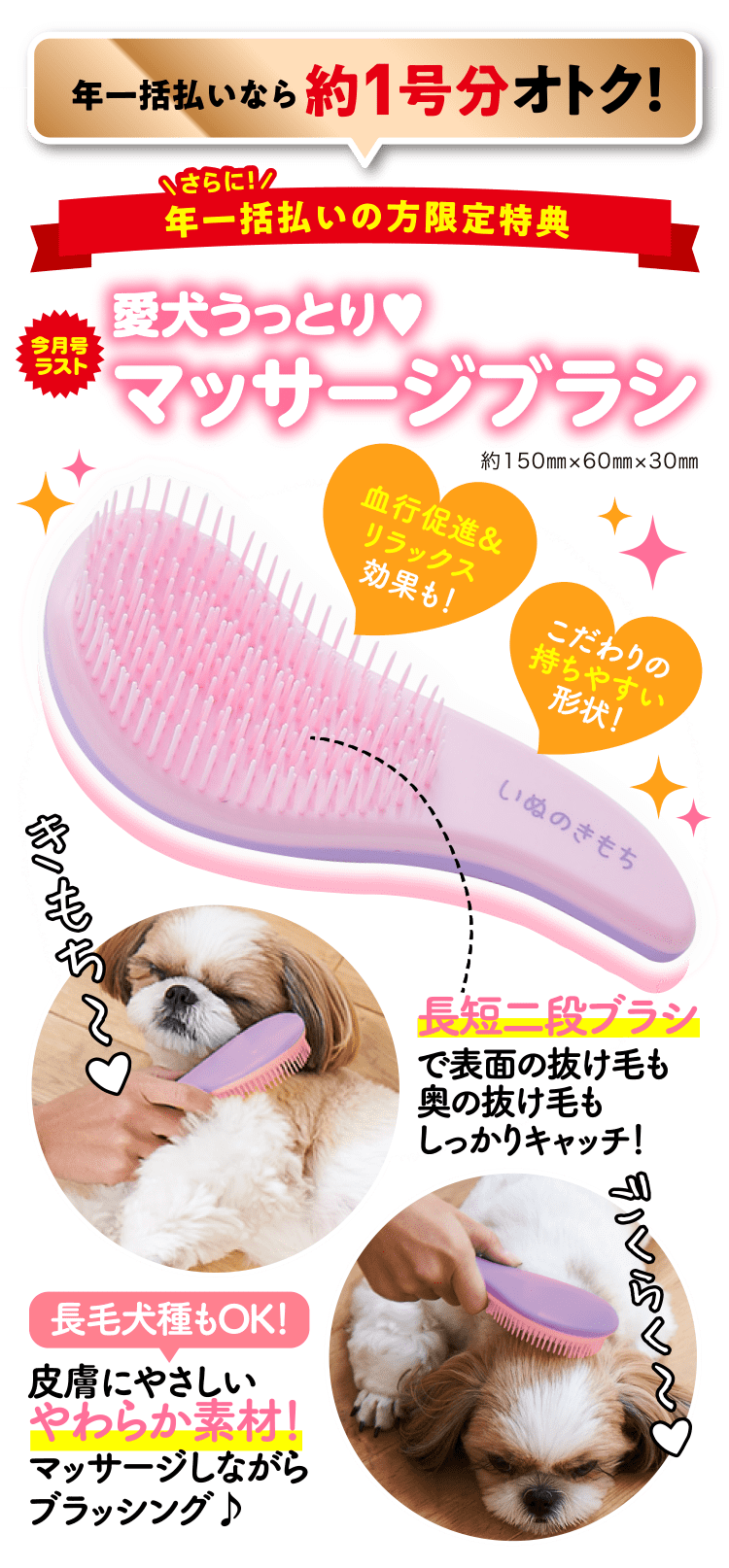 年一括払いの方限定 ≪愛犬うっとり♥マッサージブラシ≫