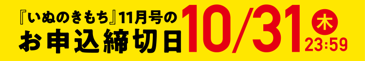 「いぬのきもち」11月号のお申込締切日10/31（木）23:59