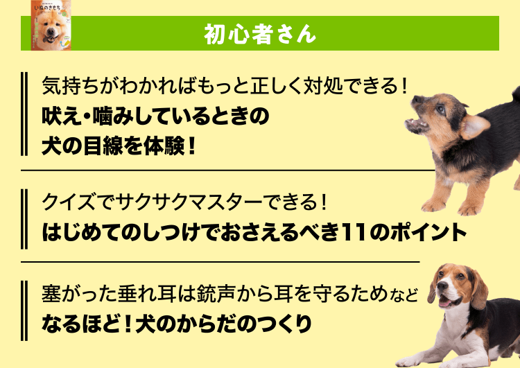 いぬのきもち　初心者さん