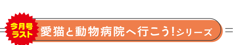 愛猫と動物病院へ行こう!シリーズ