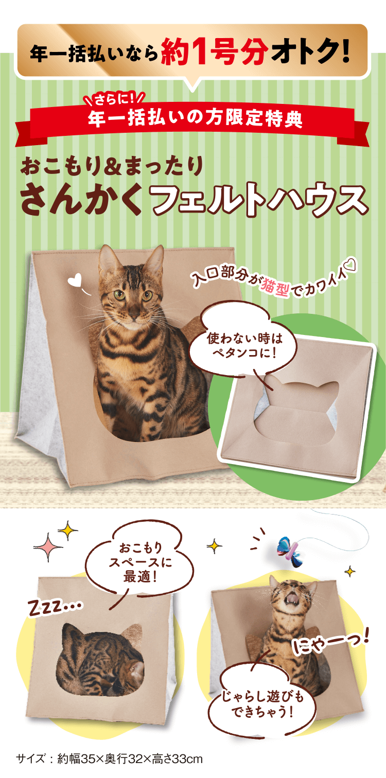 さんかくフェルトハウス